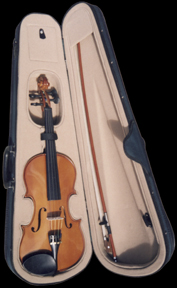 violin